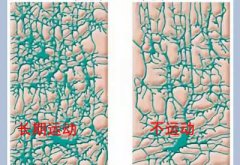 儿童综合素质测试仪厂家科普运动可以有效促进儿童智力发育